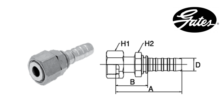 Embout femelle ORFS GATES GLOBAL SPIRAL