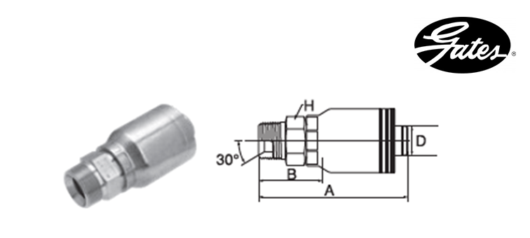 Embout male NPTF GATES GLOBAL SPIRAL MAXIMUM