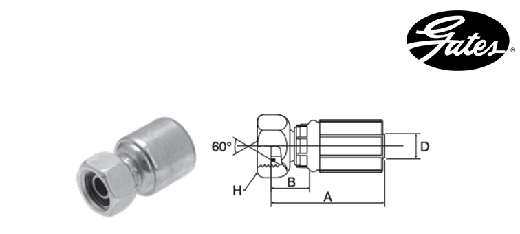 Embout femelle BSP - cône 60° GATES MEGASYS MEGACRIMP