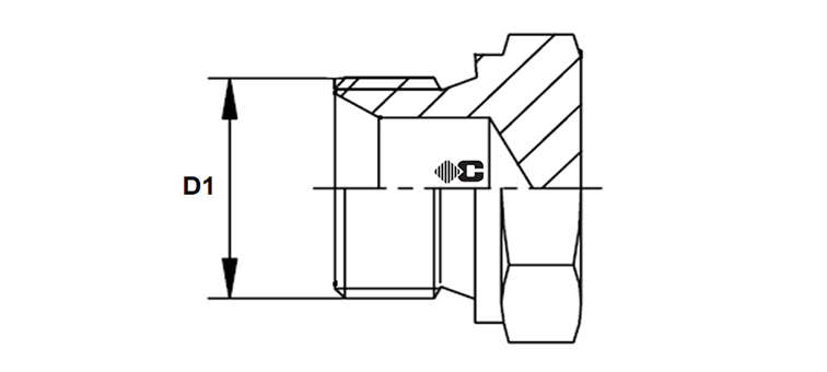 Bouchon male BSP  inox