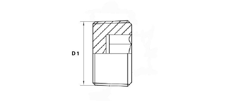 Bouchon mâle NPT sans tête inox