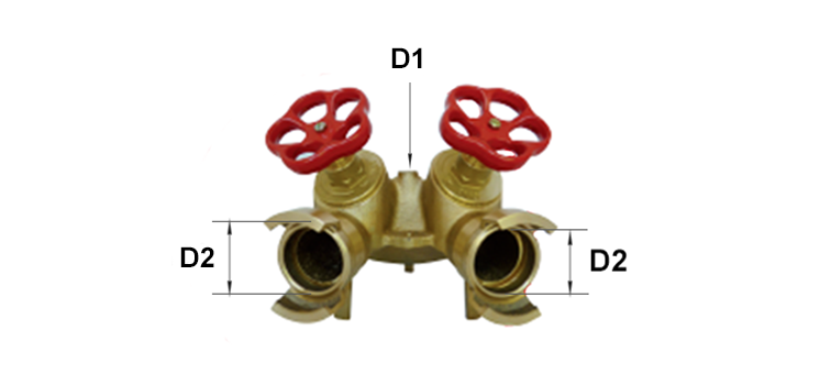 Division symétrique bronze